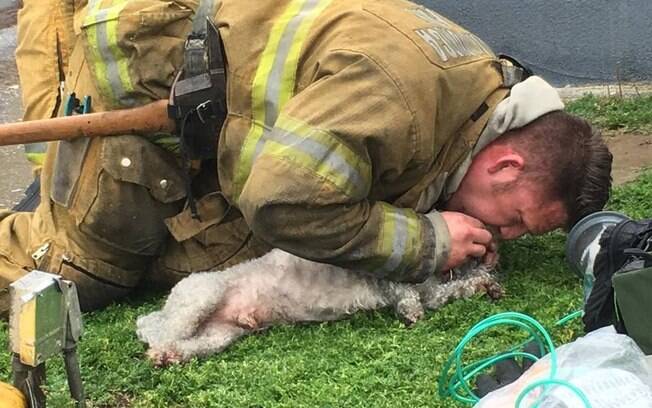 Bombeiro se recusa a desistir de cão que estava em incêndio!