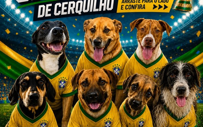 <div>"Cãovocação" coloca pets de canil na disputa por um lar</div> 3oypi1p7s664wuzr81v2v9eh0