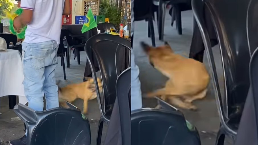 Caramelo comemora gol da virada do Brasil de um jeito diferente Caramelo comemora gol da virada do Brasil de um jeito diferente