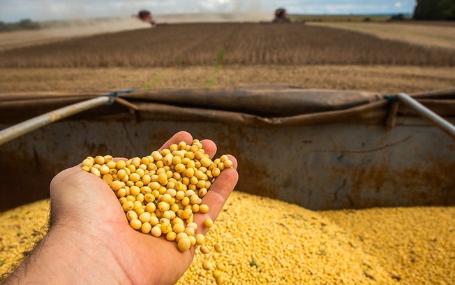 Recuperação judicial no agro segue em alta