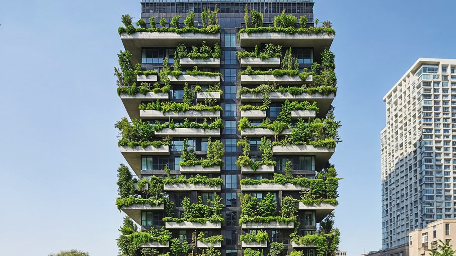 Plantas junto do concreto do prédio