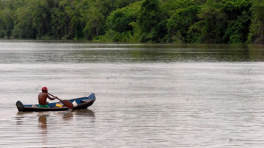 Composto de bactéria amazônica tem potencial para tratar doenças