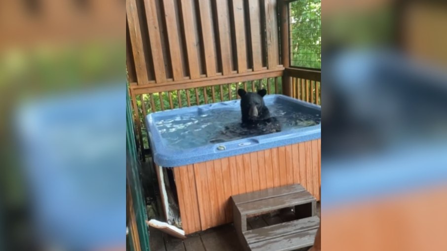 Urso se diverte em banheira de hidromassagem e encanta turistas
