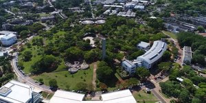 Unicamp testa casca de romã para tratamento de feridas na pele
