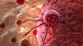 O que os últimos estudos revelam sobre o câncer? Veja incidência 