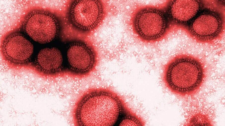 Vírus da Covid se propaga menos em ambientes secos do que em úmidos