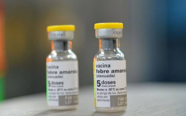 Dezenove estrangeiros foram infectados com febre amarela no Brasil, de acordo com dados da Organização Mundial da Saúde