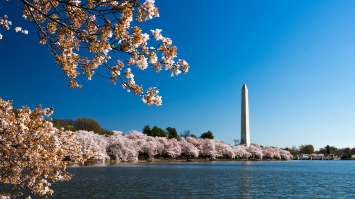 Obelisco, Buenos Aires, Argentina Obelisco, Buenos Aires, Argentina