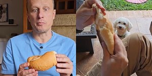 Cães podem comer pão? Veja os perigos