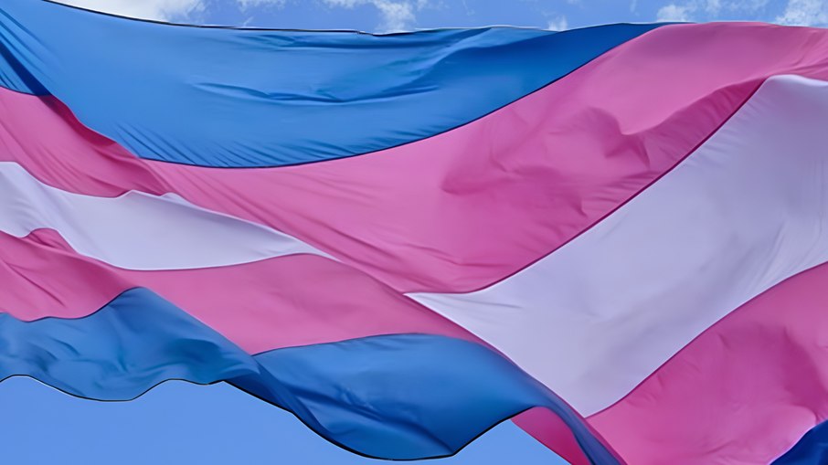 Bandeira trans Bandeira trans