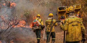 Queimadas no Brasil: ação humana é causa predominante