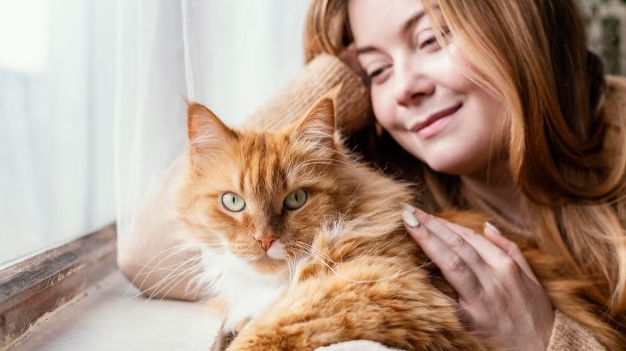Tutora de pets Tutora de pets