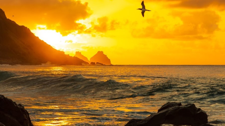 Fernando de Noronha (PE)