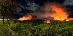 Bombeiros apagam incêndio em mata próxima a UFG, em Goiânia