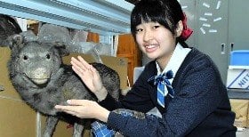 Menina de 13 anos redescobre espécie de lobo extinta no Japão
