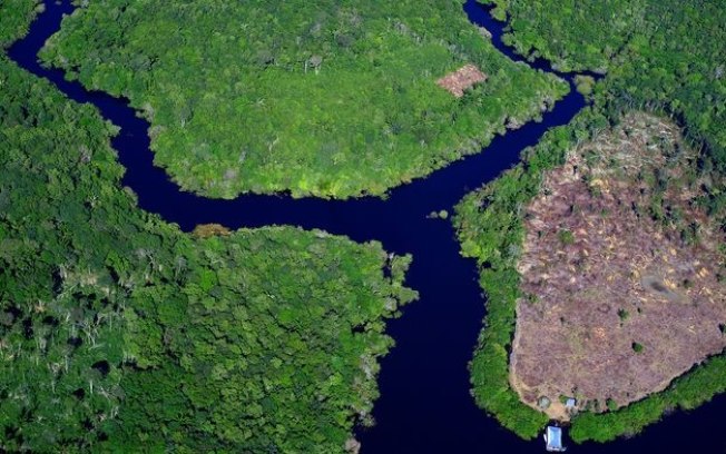 Floresta Amazônica pode entrar em colapso até 2050