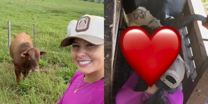 Ana Castela castra animal e diz: "Quem me fizer raiva, já sabe"