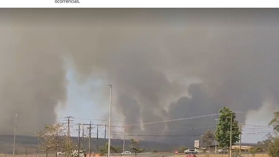 Fogo atingiu a Floresta Nacional de Brasília