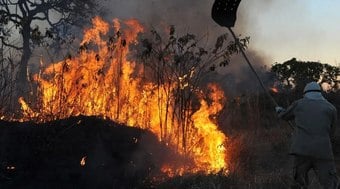 Amazônia se torna o maior emissor de gases de efeito estufa do mundo