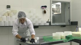 Senar impulsiona produção de banana e melhora renda de produtores