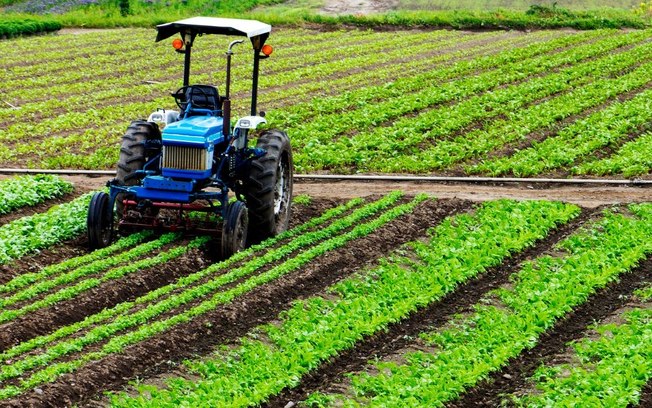 Crédito estruturado apoia mecanização da cafeicultura