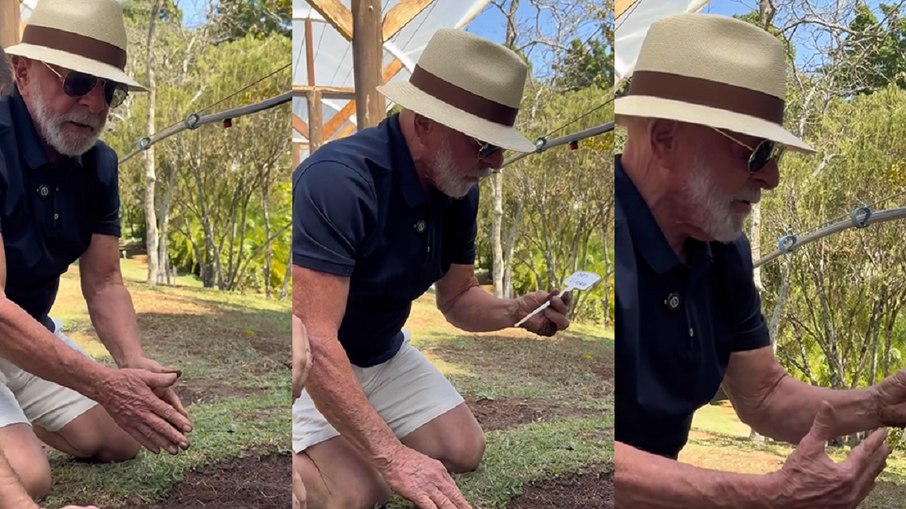 Lula planta uva e provocou Trump em vídeo para as redes