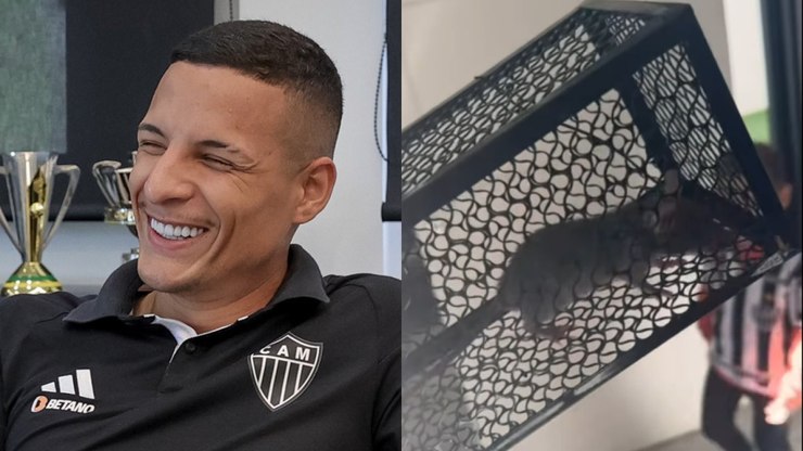 Guilherme%20Arana%20captura%20rato%20em%20casa%20e%20momento%20viraliza