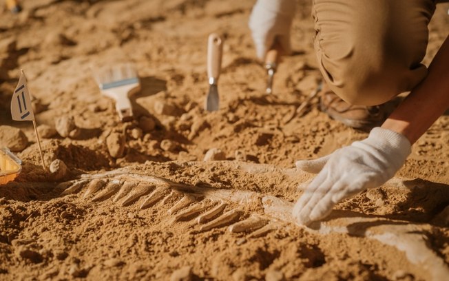 Fóssil mais antigo que dinossauros é encontrado no Brasil