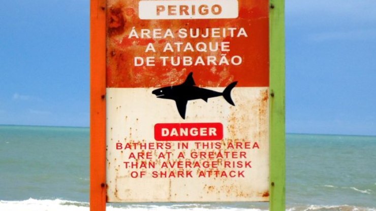 Mulher morre e homem fica gravemente ferido com ataque de tubarão