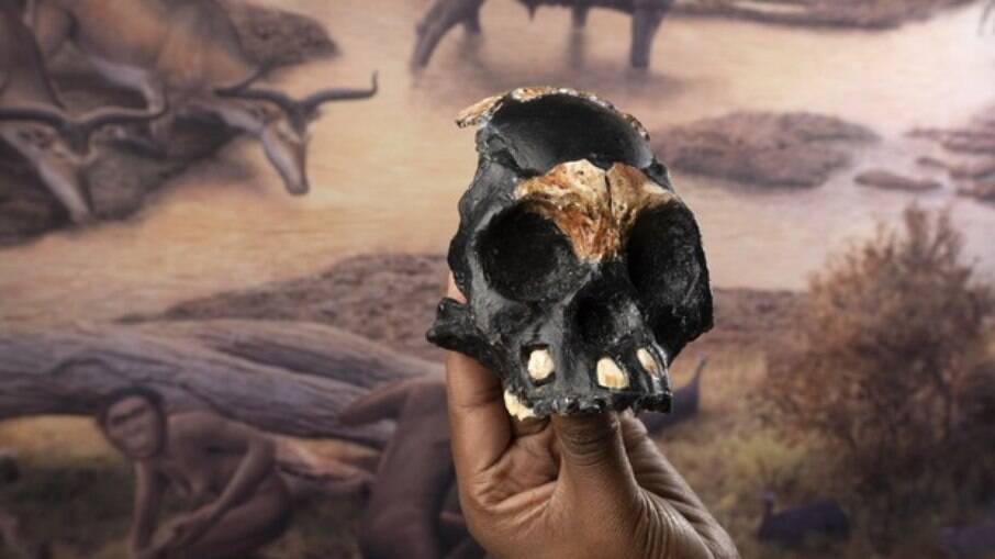 Fóssil de criança de 250 mil anos encontrado na África do Sul