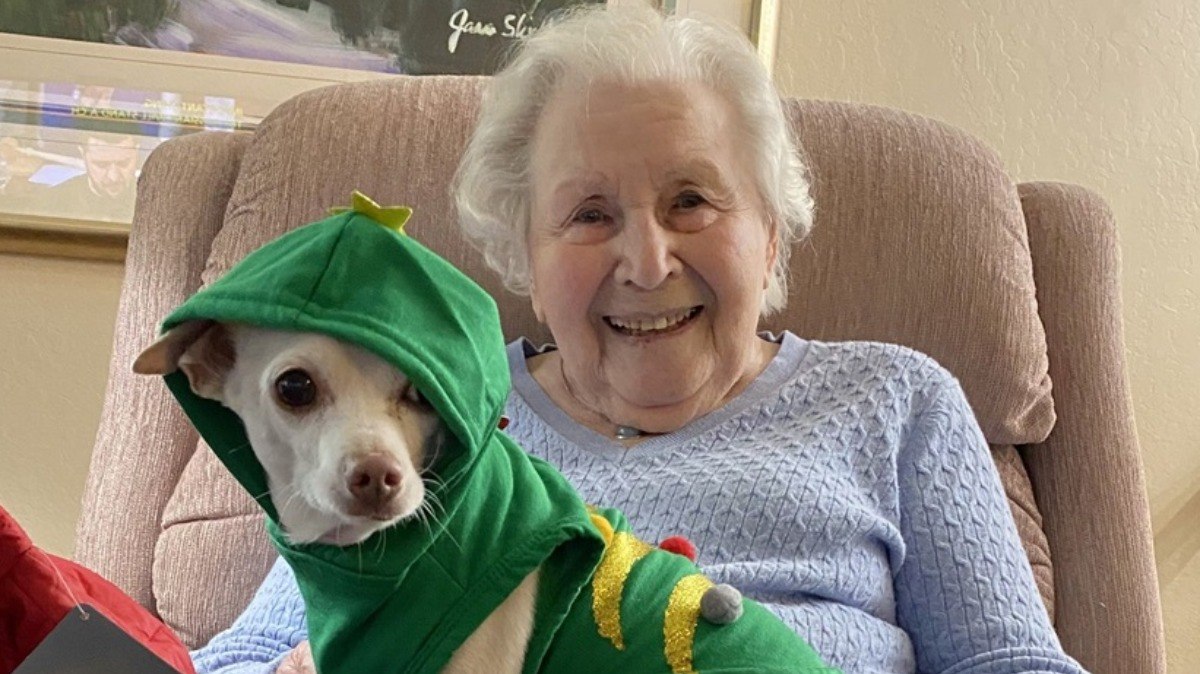 Idosa de 100 anos desejou adotar pet quase quatro décadas depois de Rocky, seu último cãozinho, ter falecido