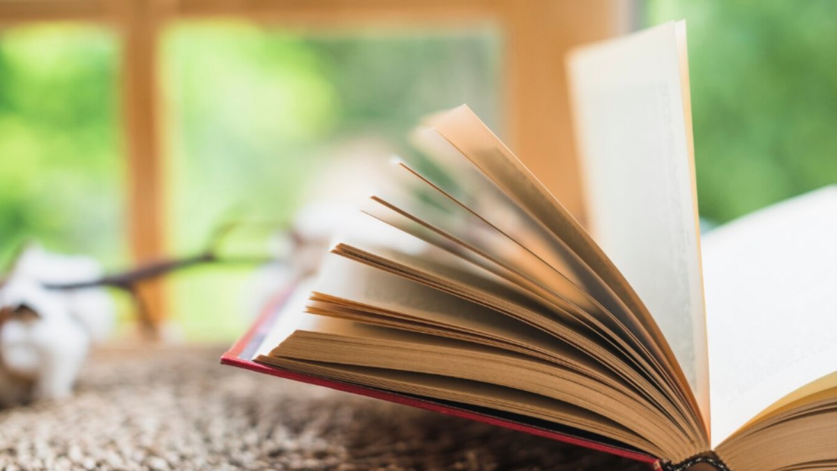 A história encontra seu começo A história encontra seu começo