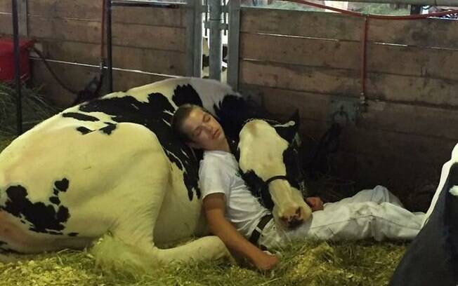 Menino adormece no colo de sua vaca após um dia exaustivo de competição