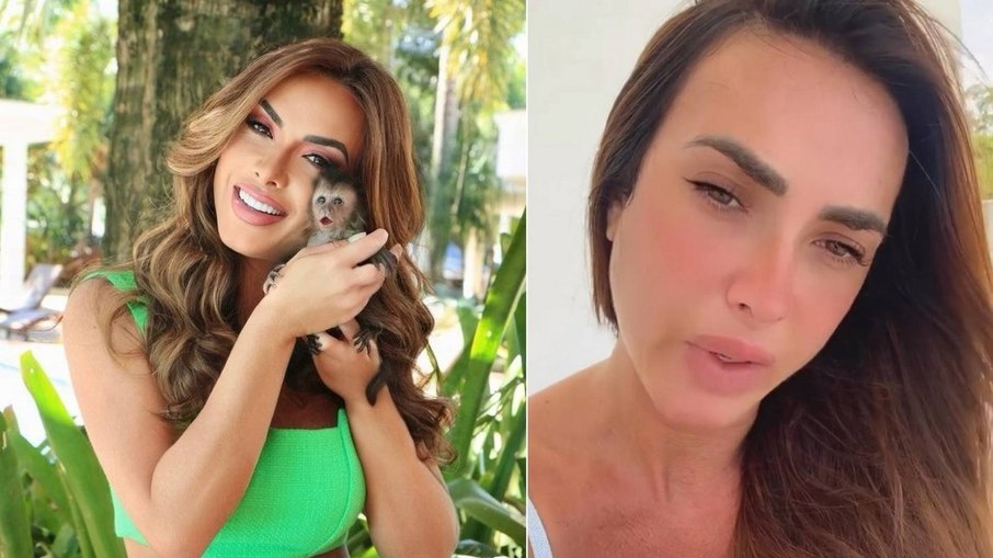 Nicole Bahls tem macacos de estimação recolhidos pelo Ibama 