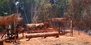 Bilionário compra madeireira na Amazônia com objetivo de fechá-la