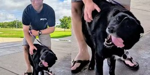 Carteiro adota cão que ficou órfão após morte de tutor