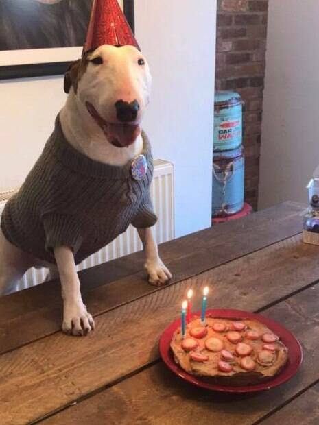 Aniversário de quatro anos de Floyd