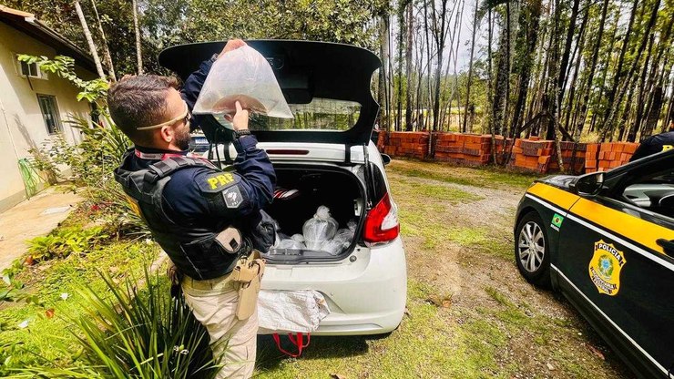 Siemens fecha mega acordo de descarbonização com alemã