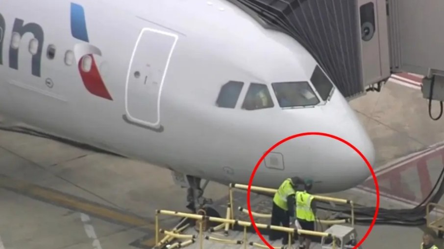 Avião da American Airlines atinge bando de pássaros e volta às pressas