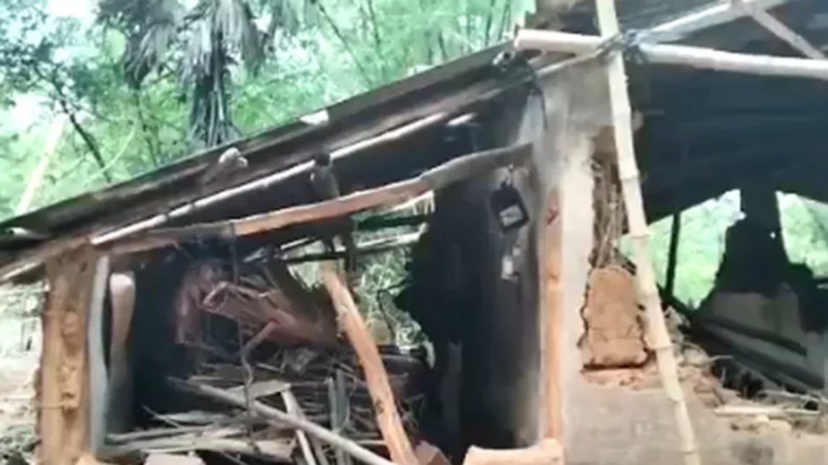 Vilarejo de idosa morta por elefante teve casas destruídas por manada durante o funeral da vítima