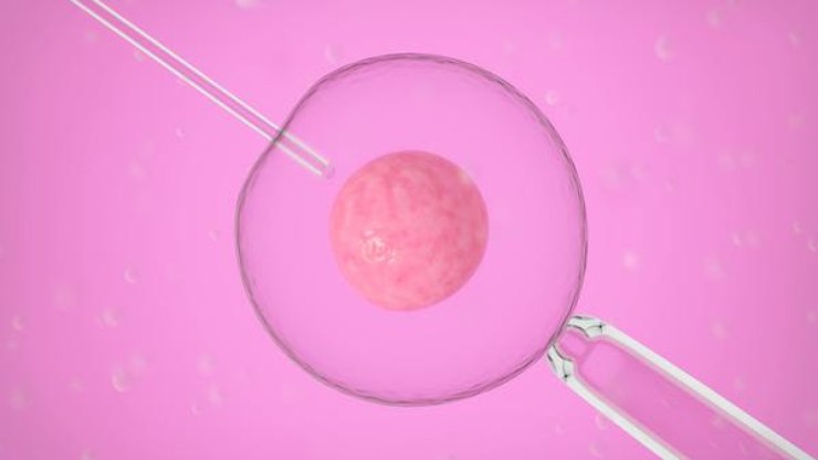 Até quantas vezes um casal pode tentar a fertilização in vitro?