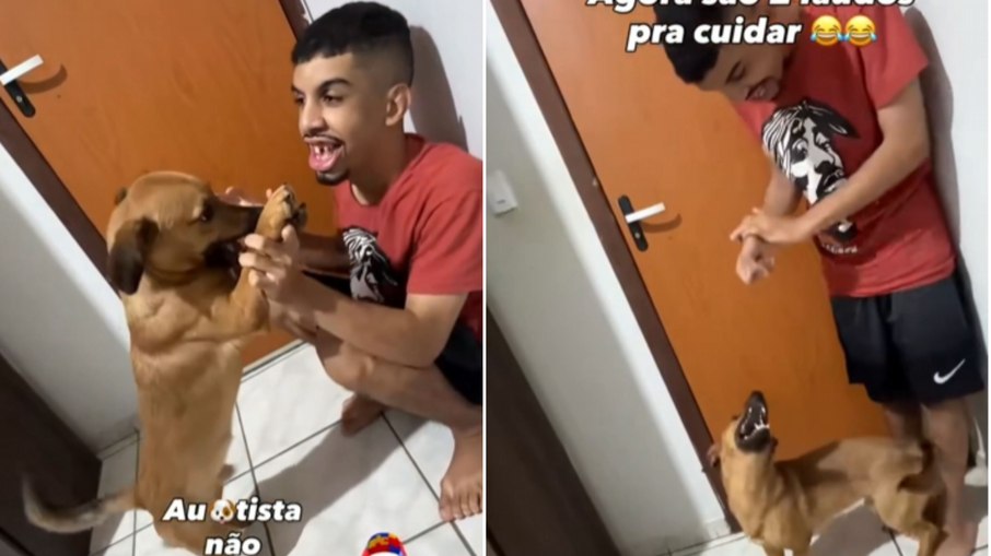 Cão adotado para dar suporte a autista vira Cão adotado para dar suporte a autista vira