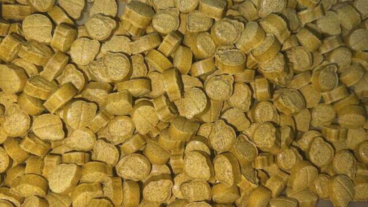 Quadrilha de drogas sintéticas é desarticulada no Rio de Janeiro Quadrilha de drogas sintéticas é desarticulada no Rio de Janeiro