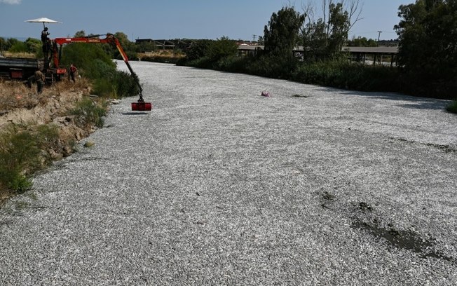 Um trabalhador opera um guindaste móvel para remover peixes mortos que flutuam no rio Xiria, perto de Volos, centro da Grécia, 28 de agosto de 2024