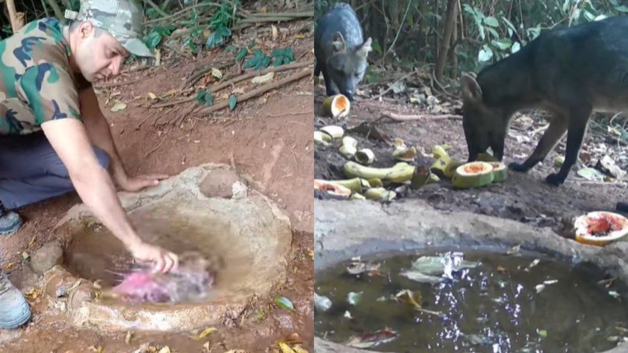 Rodrigo Ribeiro limpou bebedouro e registrou visitas Rodrigo Ribeiro limpou bebedouro e registrou visitas