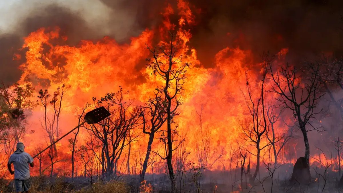 Clima seco e ventos fortes elevam riscos de queimadas Clima seco e ventos fortes elevam riscos de queimadas