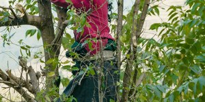 Mulheres fortalecem agricultura sustentável na Amazônia