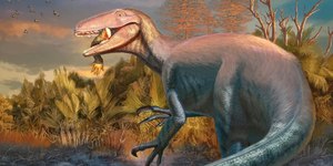 Fóssil de novo dinossauro carnívoro é achado com presa na boca