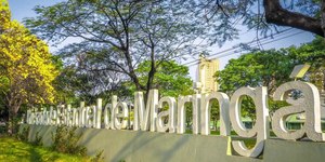 Universidade de Maringá divulga resultado do Vestibular de Verão