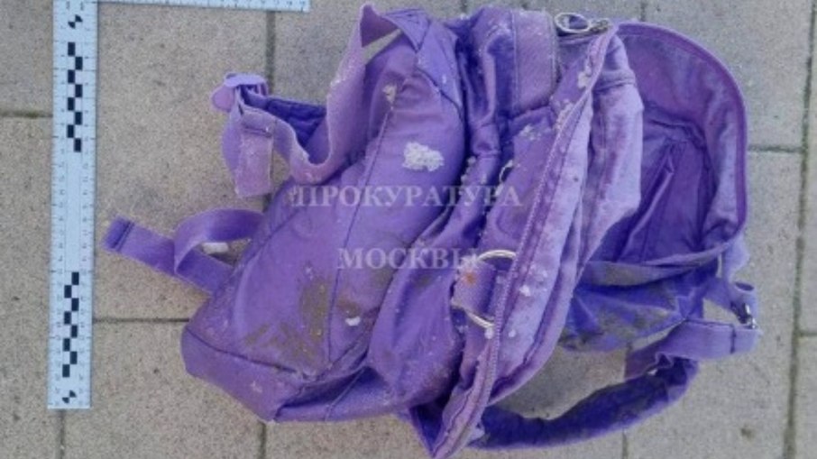 Uma cabeça decepada macabra foi descoberta em uma mochila jogada no lago Golyanovsky.